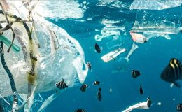 Akdeniz’deki plastik kirliliğinin boyutu alarm veriyor