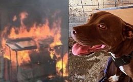 ‘Şila’yı cayır cayır yaktı, indirim uygulanmadı