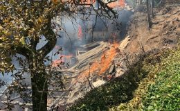 Karadeniz’de kuraklık etkisi yeni tehlikeler getirdi