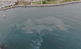 Artan kirlilik ve ısınma Marmara Denizi’ni oksijensiz bırakıyor