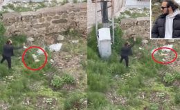 Kediyi tekmeledi, ezerek öldürdü! İfadesi ‘pes’ dedirtti