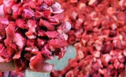 Kurban Bayramı için ‘rigor mortis’ uyarısı