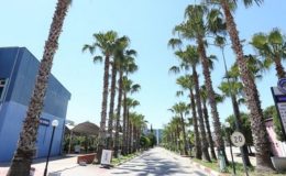 KYK tatili de torpille