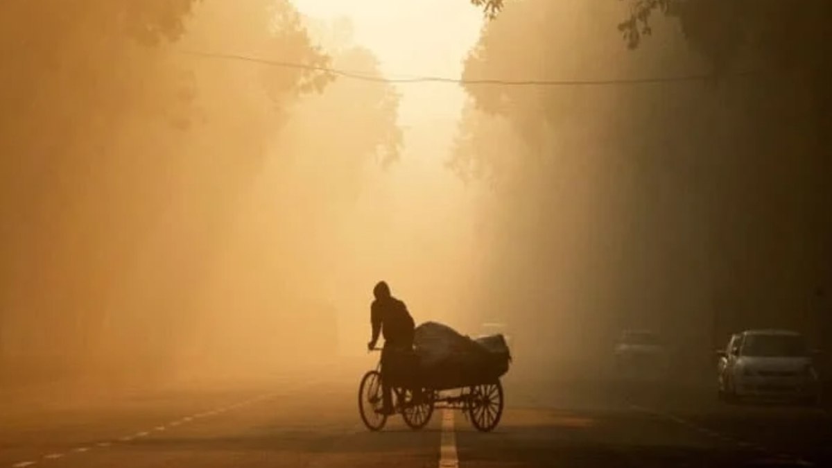 Bilim insanları uyarıyor: 2100’e kadar 30 milyon kişi ölebilir