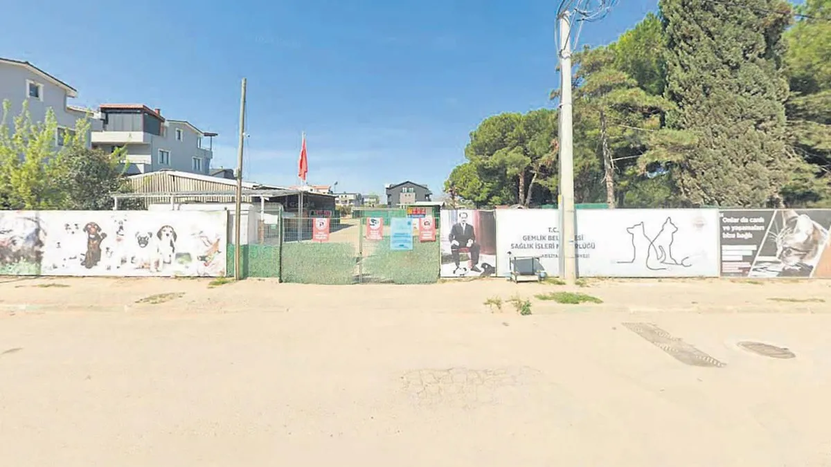 CHP’li belediyenin barınağında vahşet