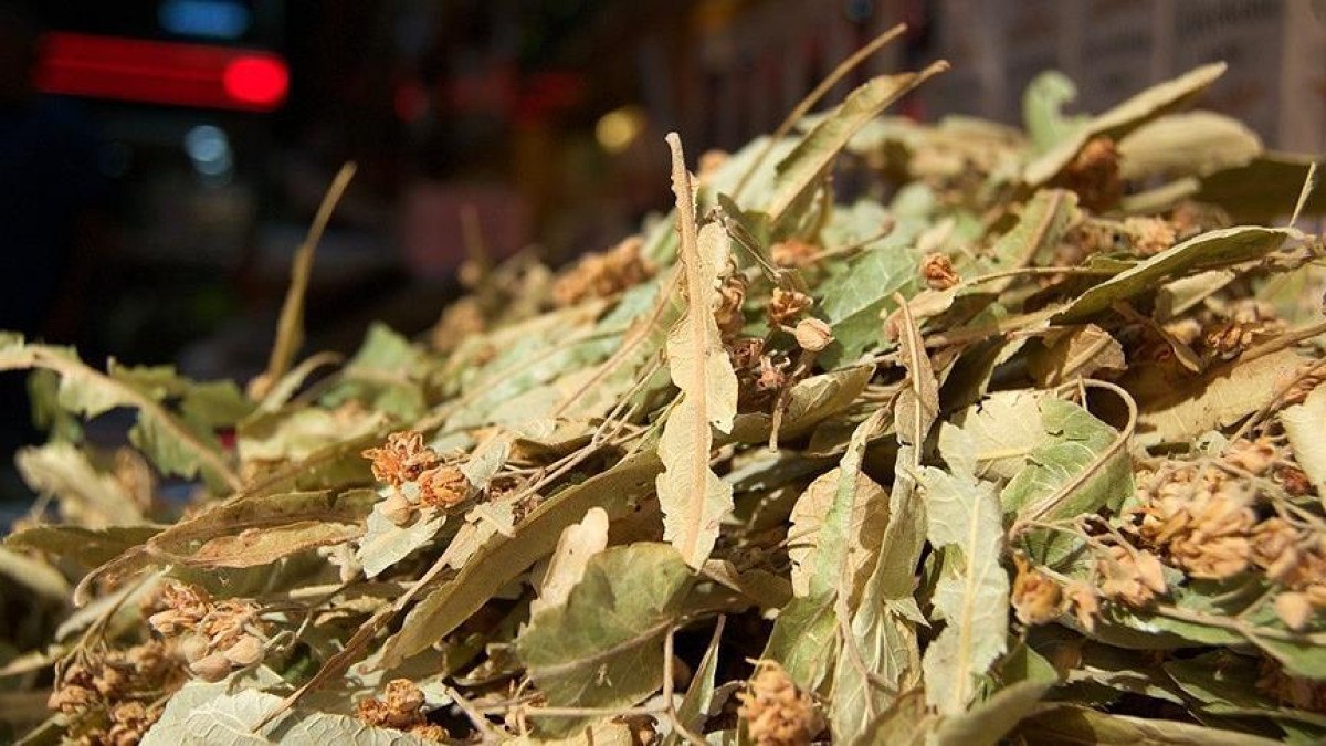 Ihlamurun kilosu altınla yarışınca ilgi azaldı: Onun yerine kış çayları satılıyor