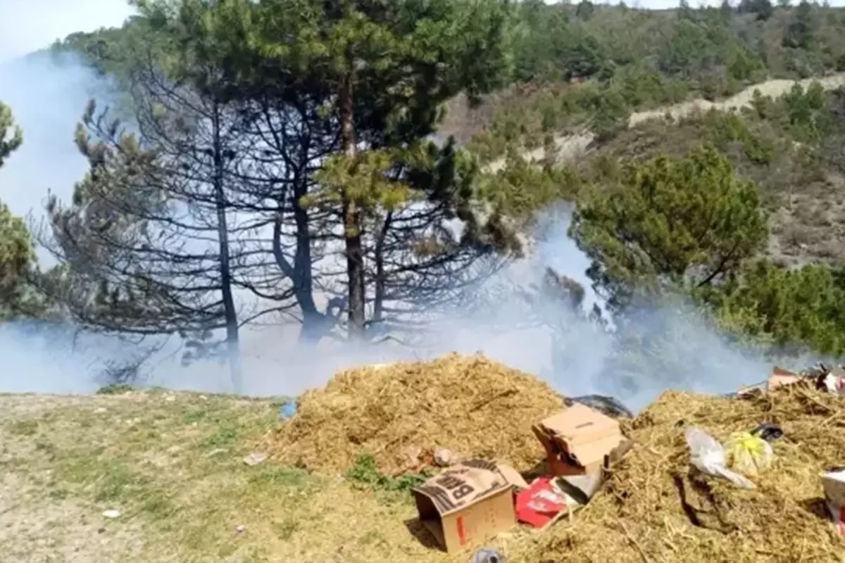 Kütahya’daki Orman Yangını Kontrol Altına Alındı