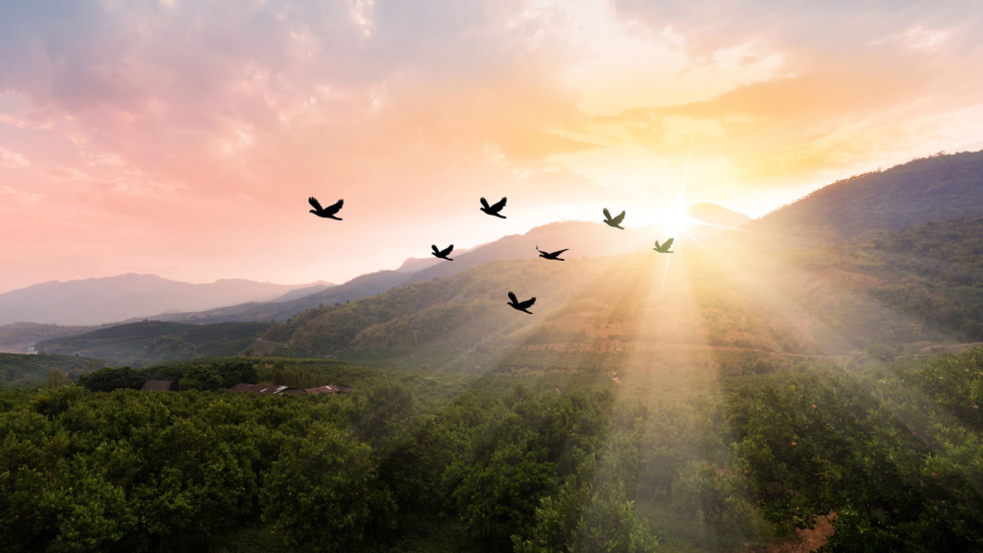 Mutlu olmak için alışkanlıklar yaratın